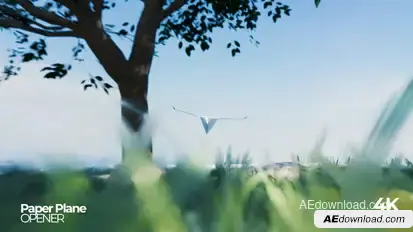 Paper Plane Opener Openers template preview