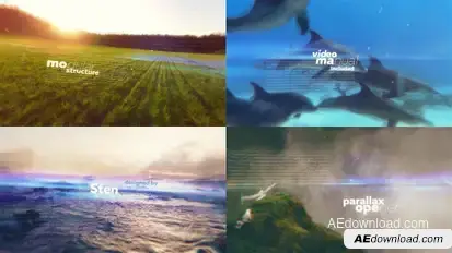 Nice Parallax Video Displays template preview