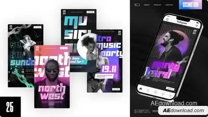 Party Instagram Stories Video Displays template preview