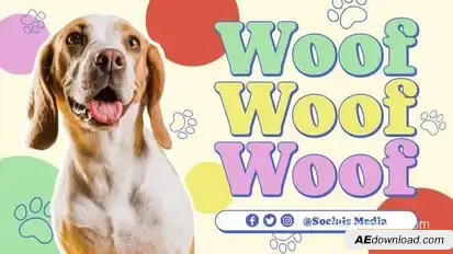 Pet Care Promo Openers template preview