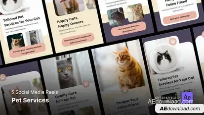 Pet Service Promo - Social Media Reels Product Promo template preview