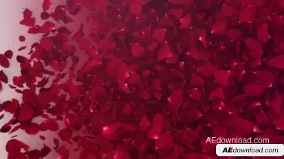 Petals Logo Reveal III Logo Stings template preview