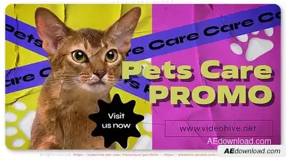Pets Care Promo Video Displays template preview
