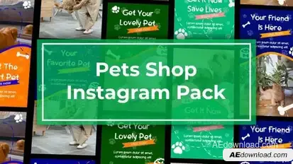 Videohive Pets Shop Instagram Reels Openers template preview