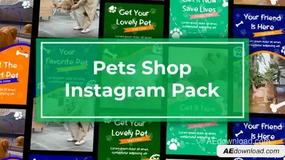 Pets Vertical Instagram Template Openers template preview