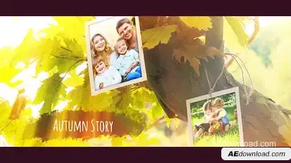 Photo Gallery Video Displays template preview