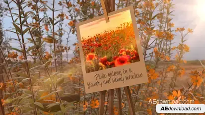 Photo Gallery in a flowery and sunny meadow Video Displays template preview