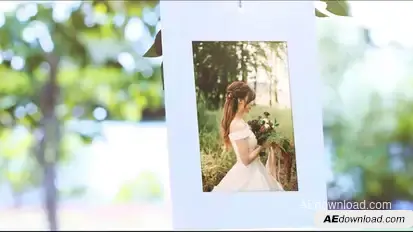 Photo Gallery Under Tree Video Displays template preview