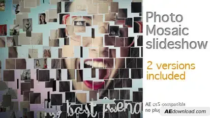 Photo Mosaic Slideshow Video Displays template preview
