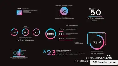 Pie Chart Infographics 4 Infographics template preview