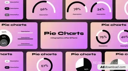 Pie Charts Infographics template preview