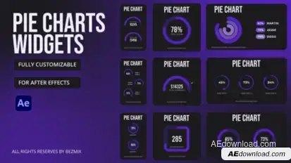 Pie Charts Widgets Infographics template preview