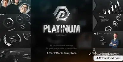 Platinum Corporate Package Video Displays template preview