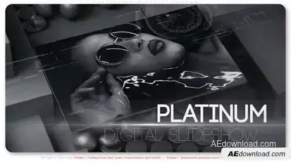 Platinum Digital Slideshow Video Displays template preview