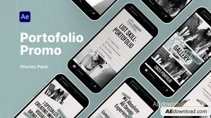 Portfolio Promo Stories Pack Openers template preview