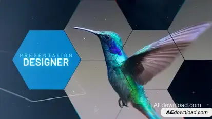 Presentation Designer Video Displays template preview