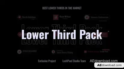 Professional Logo Lower Thirds Set Elements template preview