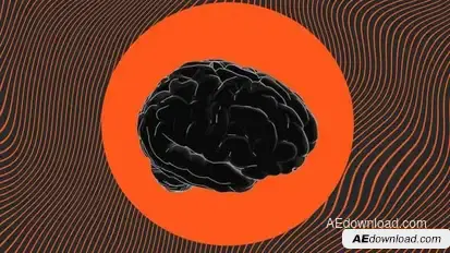 Quiz Show Promo Openers template preview