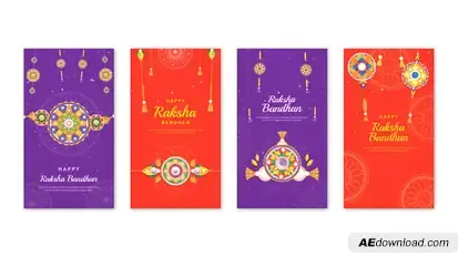 Raksha Bandhan Instagram Story Video Displays template preview