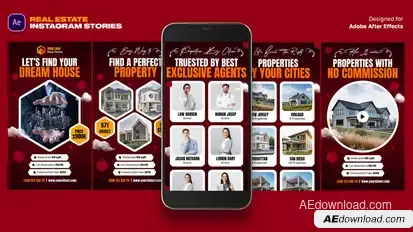 Real Estate Instagram Stories Product Promo template preview