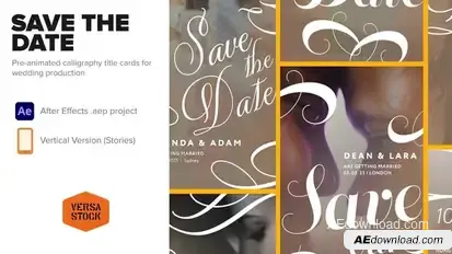 Save the Date Titles Stories Video Displays template preview