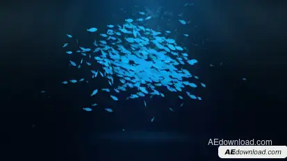 School Of Fish Logo Reveal Logo Stings template preview