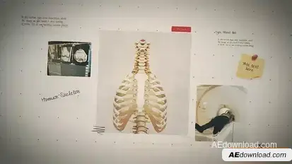 Science Project Presentation Openers template preview