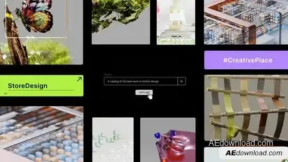 Search Bar Logo Reveal Openers template preview