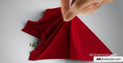 Silk Shawl Logo Reveal Logo Stings template preview