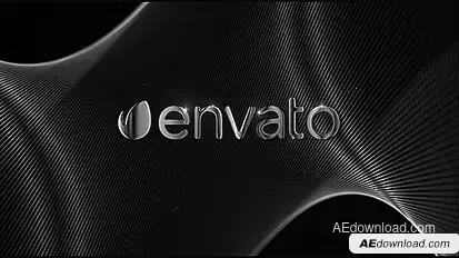 Silver Logo Reveal Logo Stings template preview