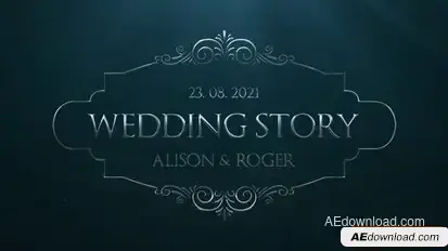 Videohive Silver Wedding Titles Titles template preview
