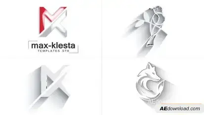 Simple & Clean Logo Reveal Logo Stings template preview