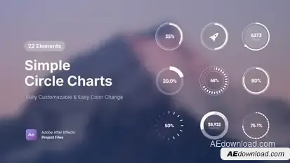 Simple Circle Charts Infographics template preview