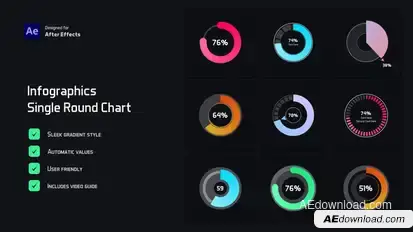 Single Round Chart Infographic Infographics template preview
