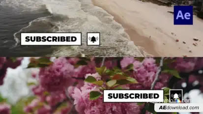 Social Media Buttons Lower Thirds /Ae Elements template preview