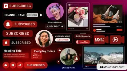 Social Media Infographics for YouTube Infographics template preview