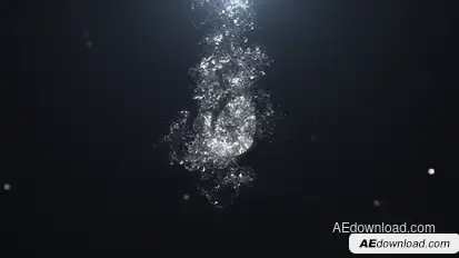 Splash Logo Stings template preview