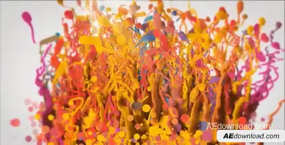 Splash Paint Logo Reveal Logo Stings template preview