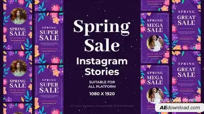 Videohive Spring Sale Instagram Stories 57056684 Openers template preview