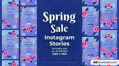 Videohive Spring Sale Instagram Stories 57365695 Openers template preview