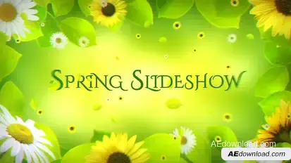 Spring Slideshow Video Displays template preview