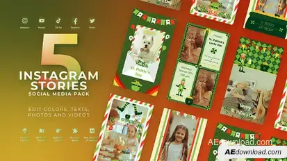 St Patrick's Day Instagram Vertical Stories Video Displays template preview