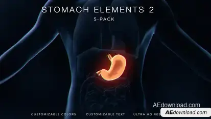 Stomach Elements 2 Elements template preview
