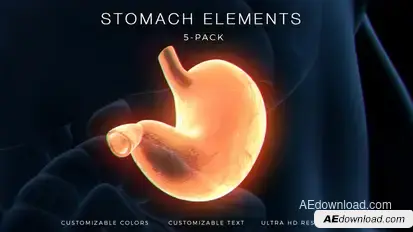 Stomach Elements Elements template preview