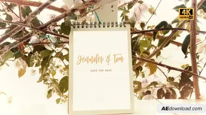 Stop Motion Wedding Flip Book Video Displays template preview