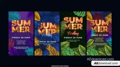 Summer Solstice Stories Video Displays template preview