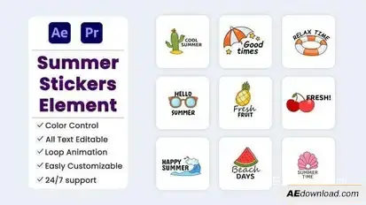 Videohive Summer Stickers Element Elements template preview
