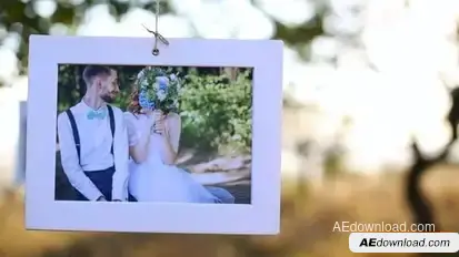 Videohive Sunny Orchard – Photo Gallery Video Displays template preview