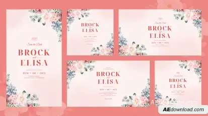 Sunny Wedding Invitation Openers template preview