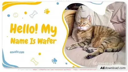 Sweet Pets Video Displays template preview